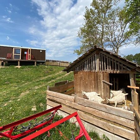 Maringotka Na Samote Na Kozi Farme Ξενοδοχείο Pobezovice Εξωτερικό φωτογραφία